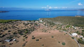 Οικόπεδο 10.000 τ.μ. για πώληση