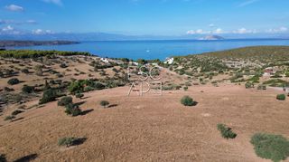 Οικόπεδο 10.000 τ.μ. για πώληση, Αργολίδα, Κρανίδι-thumb-8