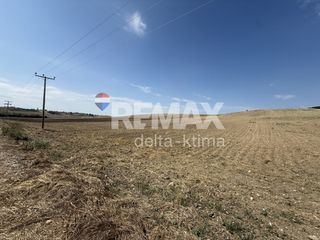 Αγροτεμάχια 53.000 τ.μ. για πώληση, Ν. Λάρισας, Κοιλάδα-thumb-4