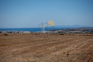 Αγροτεμάχια 8.776 τ.μ. για πώληση
