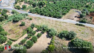 Αγροτεμάχια 3.800 τ.μ. για πώληση, Μεσσηνία, Πεταλίδι-thumb-4