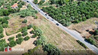 Αγροτεμάχια 3.800 τ.μ. για πώληση, Μεσσηνία, Πεταλίδι-thumb-12