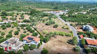 Αγροτεμάχια 3.800 τ.μ. για πώληση, Μεσσηνία, Πεταλίδι-thumb-6