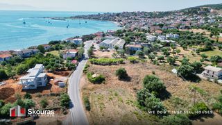 Αγροτεμάχια 3.800 τ.μ. για πώληση, Μεσσηνία, Πεταλίδι-thumb-10