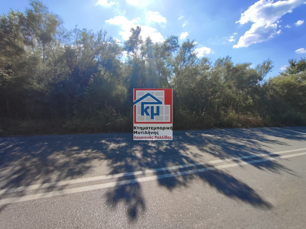 Οικόπεδο 6.035 τ.μ. πρός πώληση, Ν. Λέσβου, Λέσβος - Μυτιλήνη