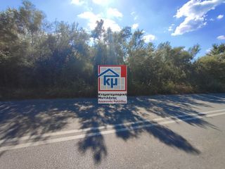 Οικόπεδο 6.035 τ.μ. για πώληση
