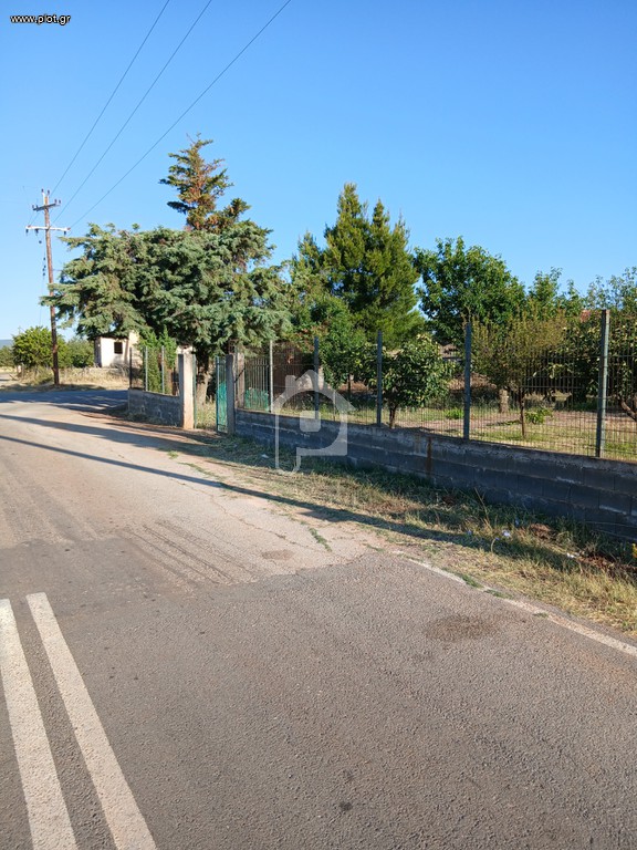 Αγροτεμάχια 2.050 τ.μ. προς πώληση, Σκούρτα