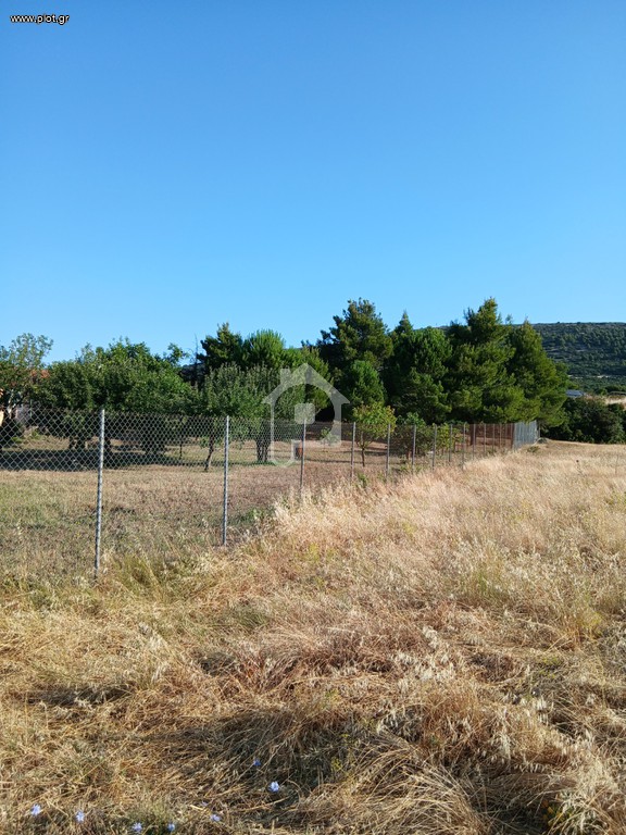 Αγροτεμάχια 2.050 τ.μ. προς πώληση, Σκούρτα