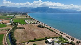 Οικόπεδο 30.000 τ.μ. για πώληση, Μεσσηνία, Καλαμάτα-thumb-9