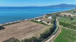 Οικόπεδο 30.000 τ.μ. για πώληση, Μεσσηνία, Καλαμάτα-thumb-24