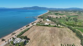 Οικόπεδο 30.000 τ.μ. για πώληση