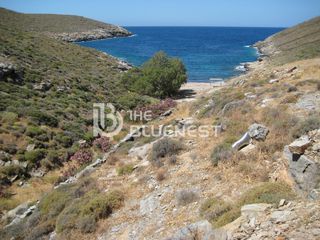 Αγροτεμάχια 4.239 τ.μ. για πώληση
