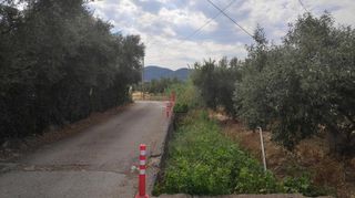 Οικόπεδο 1.165 τ.μ. για πώληση, Ν. Ηλείας, Ζαχάρω-thumb-9