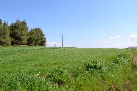 Οικόπεδο 3.330 τ.μ. προς πώληση