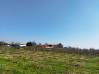 Οικόπεδο 2.500 τ.μ. για πώληση