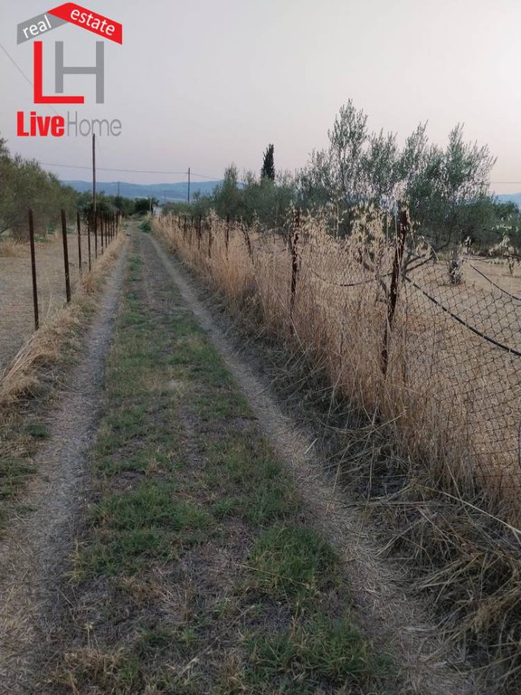 Αγροτεμάχια 2.515 τ.μ. πρός πώληση, Κορινθία, Βόχα