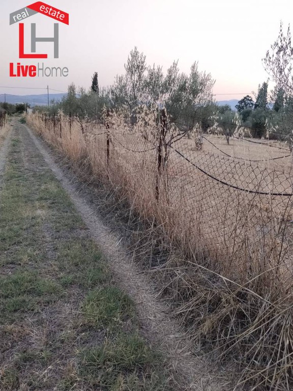 Αγροτεμάχια 2.515 τ.μ. πρός πώληση, Κορινθία, Βόχα