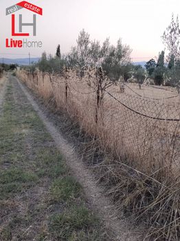 Αγροτεμάχια 2.515 τ.μ. πρός πώληση