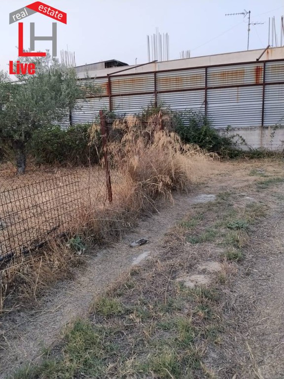 Αγροτεμάχια 2.515 τ.μ. πρός πώληση, Κορινθία, Βόχα