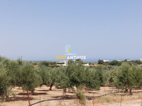 Οικόπεδο 800 τ.μ. πρός πώληση