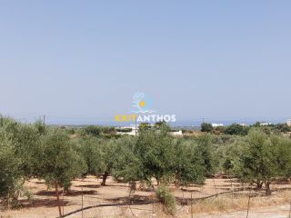Οικόπεδο 800 τ.μ. για πώληση