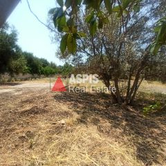 Οικόπεδο 1.775 τ.μ. για ενοικίαση