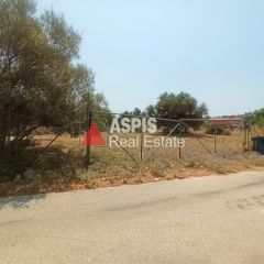 Οικόπεδο 1.775 τ.μ. προς ενοικίαση, Κίτσι-thumb-1