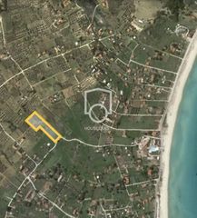 Αγροτεμάχια 6.140 τ.μ. για πώληση
