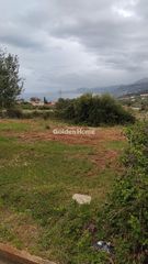 Οικόπεδο 3.200 τ.μ. για πώληση