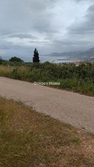 Οικόπεδο 2.000 τ.μ. για πώληση
