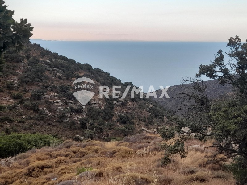 Αγροτεμάχια 15.159 τ.μ. προς πώληση, Τζια