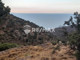 Αγροτεμάχια 15.159 τ.μ. για πώληση