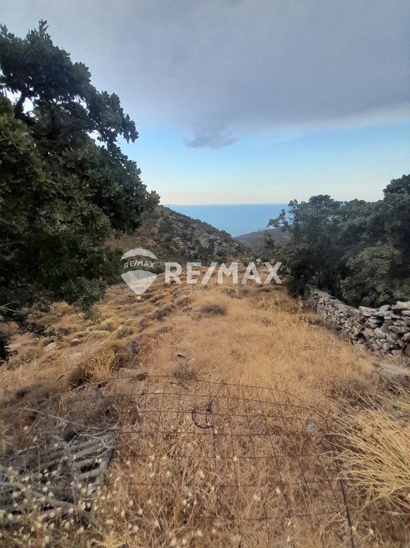 Αγροτεμάχια 15.159 τ.μ. προς πώληση, Τζια
