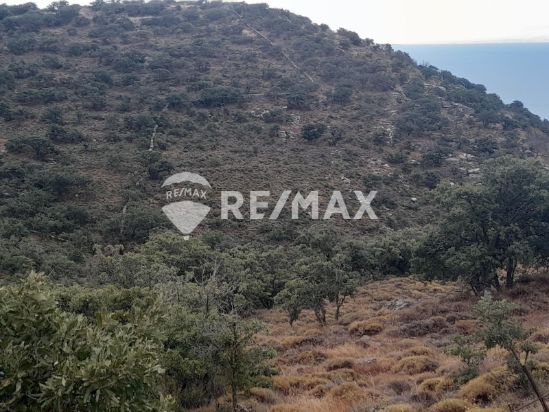 Αγροτεμάχια 15.159 τ.μ. προς πώληση, Τζια