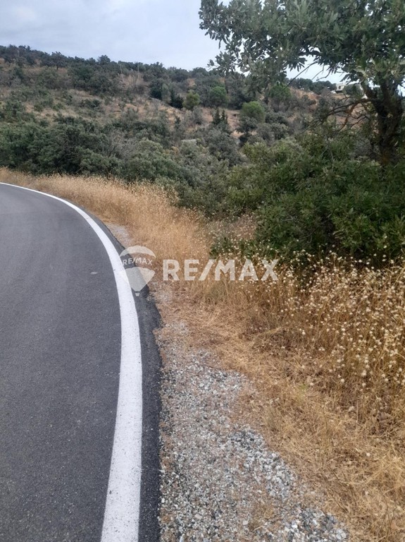 Αγροτεμάχια 15.159 τ.μ. προς πώληση, Τζια
