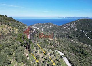 Αγροτεμάχια 6.286 τ.μ. για πώληση