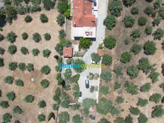Βίλλα 267,83 τ.μ. για πώληση, Αργολίδα, Ναύπλιο-thumb-26