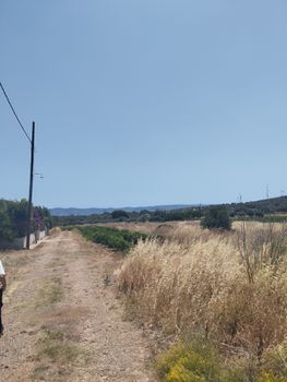 Αγροτεμάχια 287 τ.μ. προς πώληση