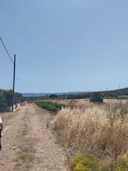 Αγροτεμάχια 287 τ.μ. για πώληση