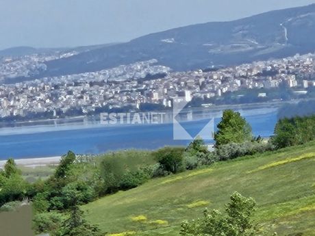 Αγροτεμάχια 17.850 τ.μ. προς πώληση