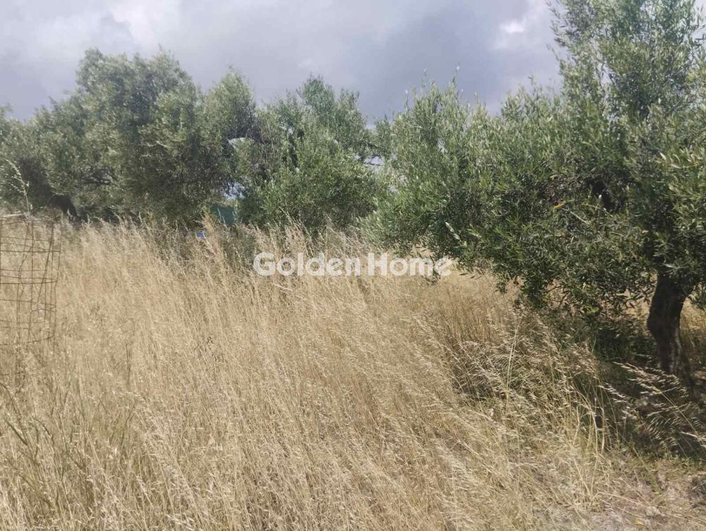 Αγροτεμάχια 800 τ.μ. προς πώληση, Άγιος Σύλλας Τεμένους