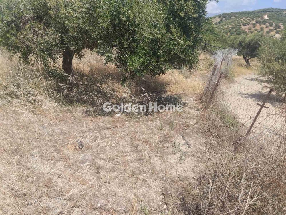 Αγροτεμάχια 800 τ.μ. προς πώληση, Άγιος Σύλλας Τεμένους