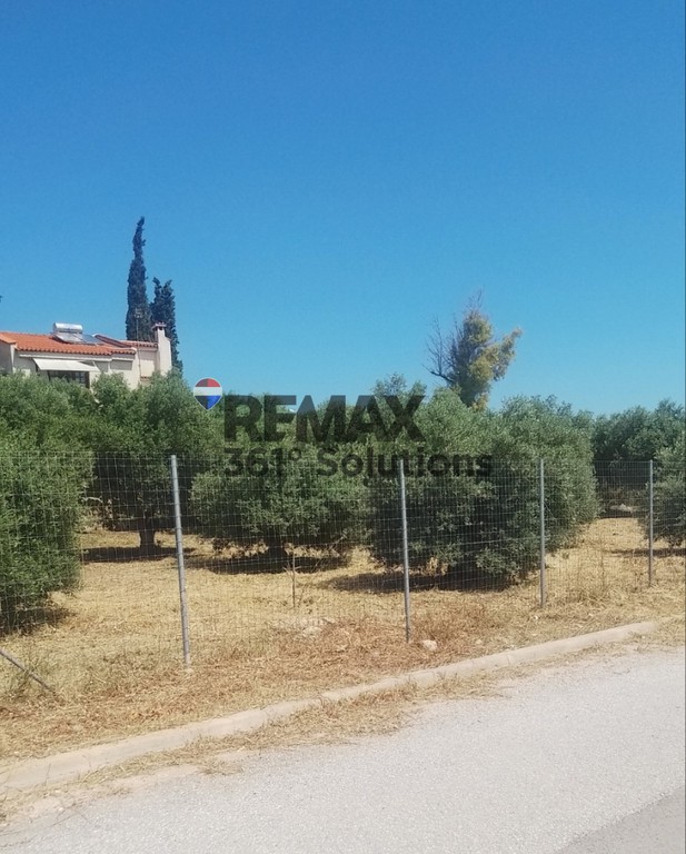 Οικόπεδο 810 τ.μ. πρός πώληση, Αθήνα - Ανατολικά Προάστια, Σπάτα