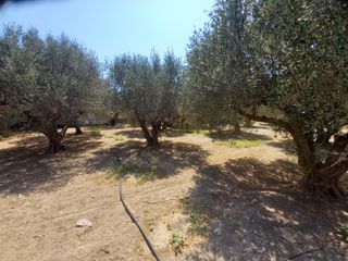 Οικόπεδο 381 τ.μ. για πώληση, Ν. Λασιθίου, Ιεράπετρα-thumb-1