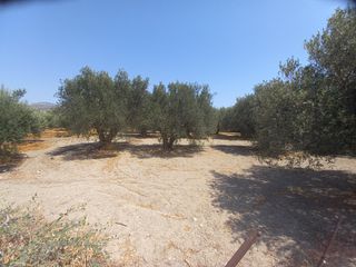 Οικόπεδο 381 τ.μ. για πώληση, Ν. Λασιθίου, Ιεράπετρα-thumb-2