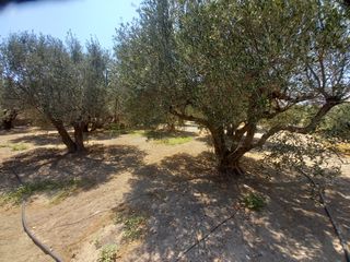 Οικόπεδο 381 τ.μ. για πώληση, Ν. Λασιθίου, Ιεράπετρα-thumb-3