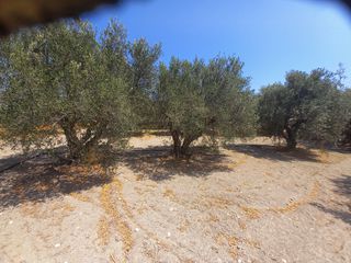Οικόπεδο 381 τ.μ. για πώληση, Ν. Λασιθίου, Ιεράπετρα-thumb-5
