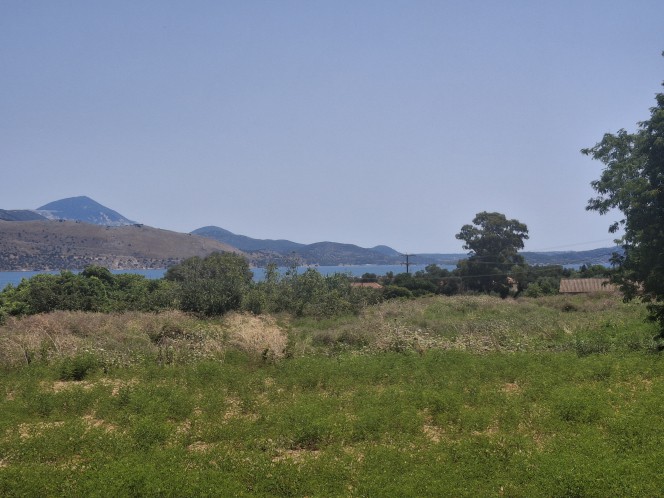 Αγροτεμάχια 5.842 τ.μ. προς πώληση, Παλική
