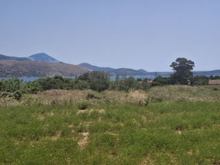 Αγροτεμάχια 5.842 τ.μ. για πώληση