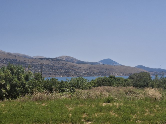Αγροτεμάχια 5.842 τ.μ. προς πώληση, Παλική